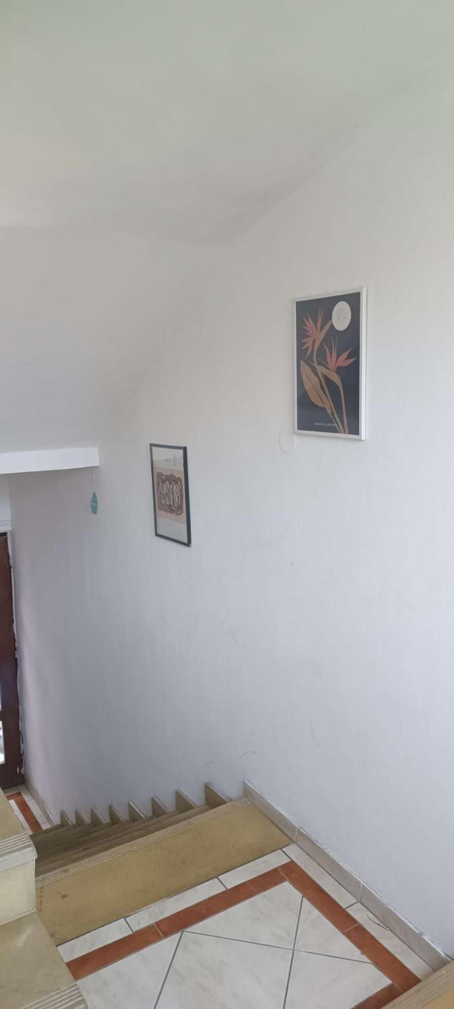 Sunshine Hostel 免费洗衣机 高速上网 Bělehrad Exteriér fotografie